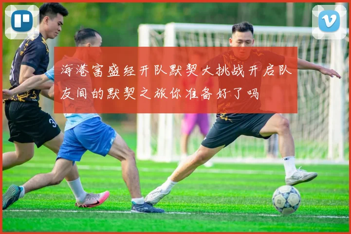 海港富盛经开队默契大挑战开启队友间的默契之旅你准备好了吗