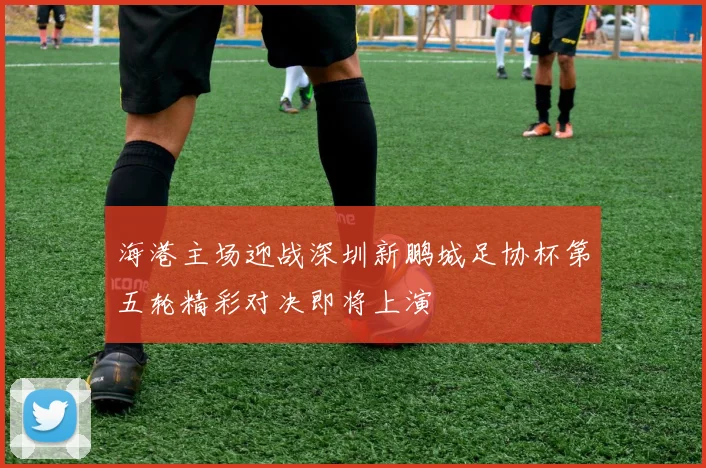 海港主场迎战深圳新鹏城足协杯第五轮精彩对决即将上演